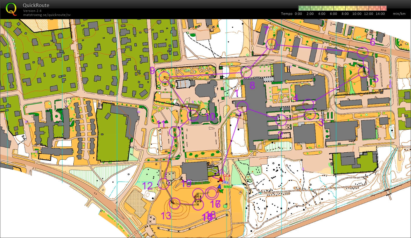 DM Sprint Dalarna (2025-06-01)